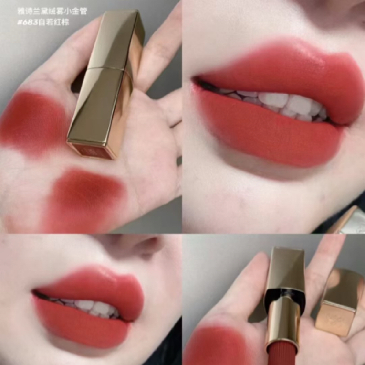 Estee lauder雅诗兰黛 绒雾小金管683#唇膏口红3.5g 哑光质地