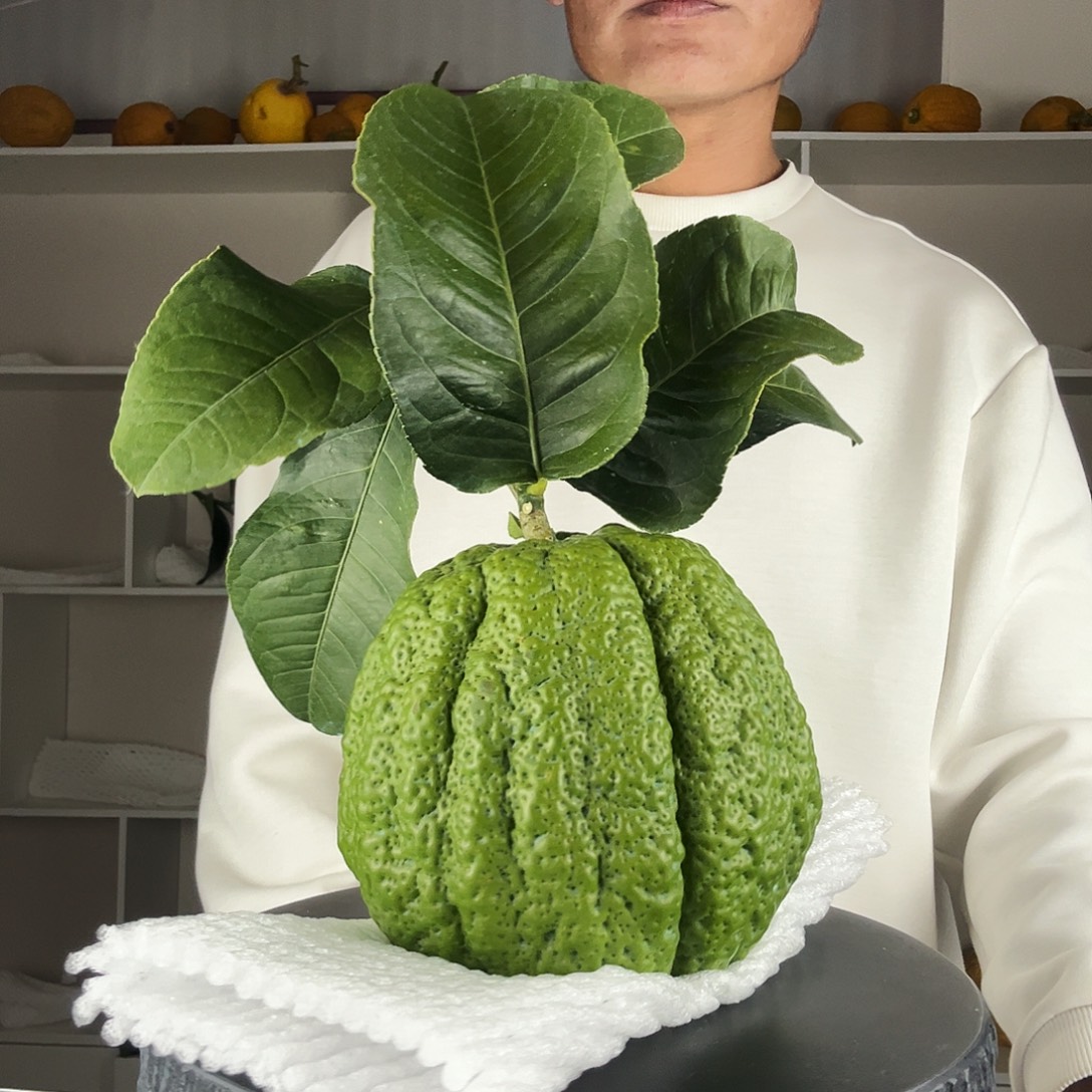 棉***花香水柠檬云南高山大香橼