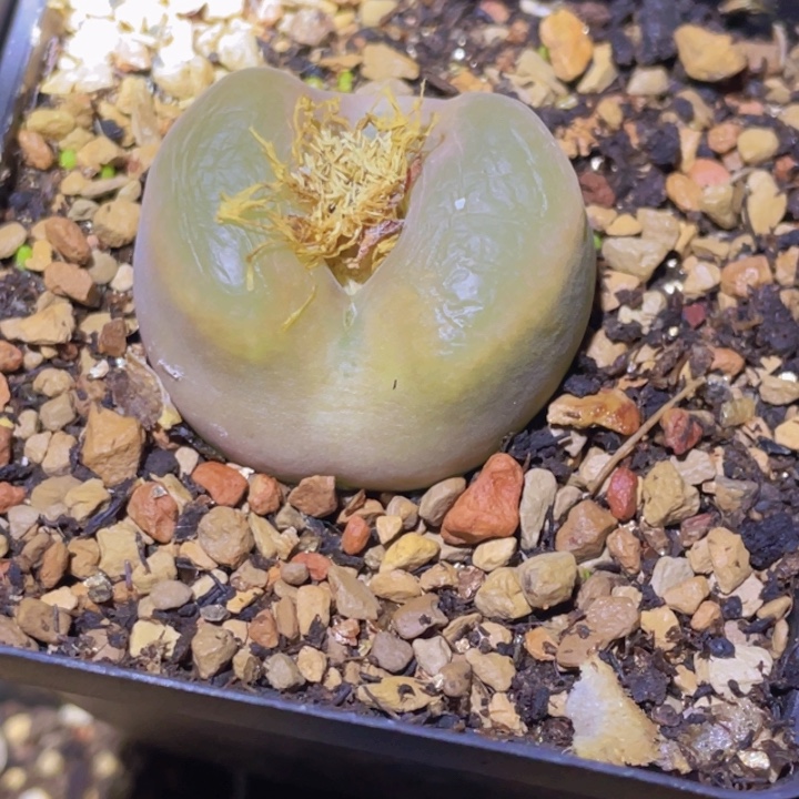 48 9。999 99968999888