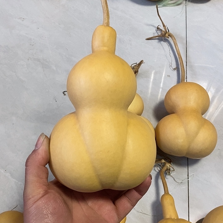 葫芦家居摆件金蟾葫芦