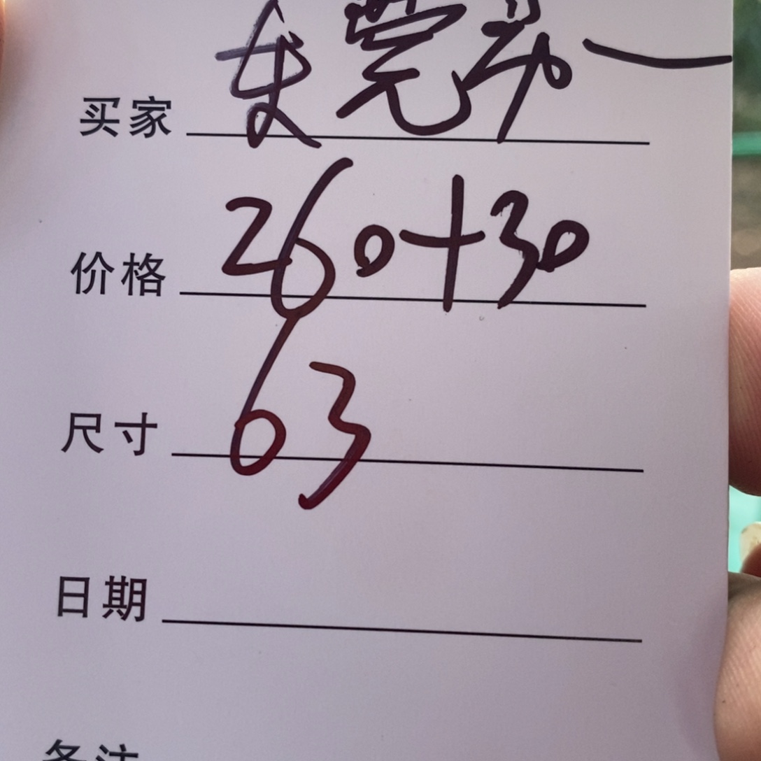 东***店非金属所见皆所得