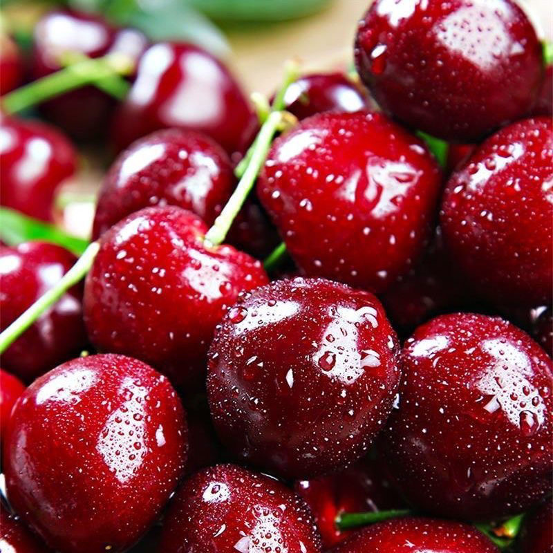 车厘子JJ 五斤左右