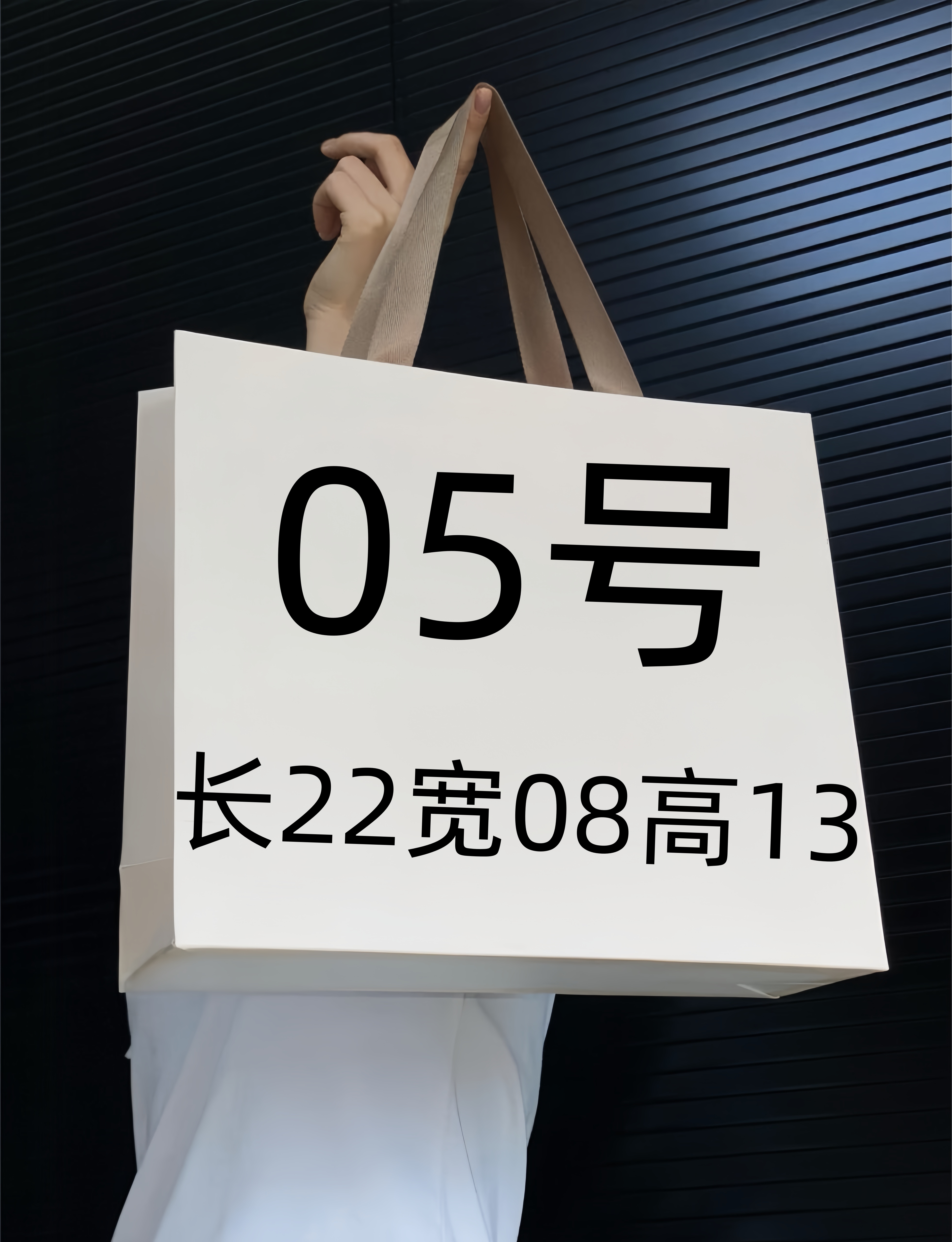 【05号】2025爆款小包休闲轻奢百搭潮流经典女士腋下包8118