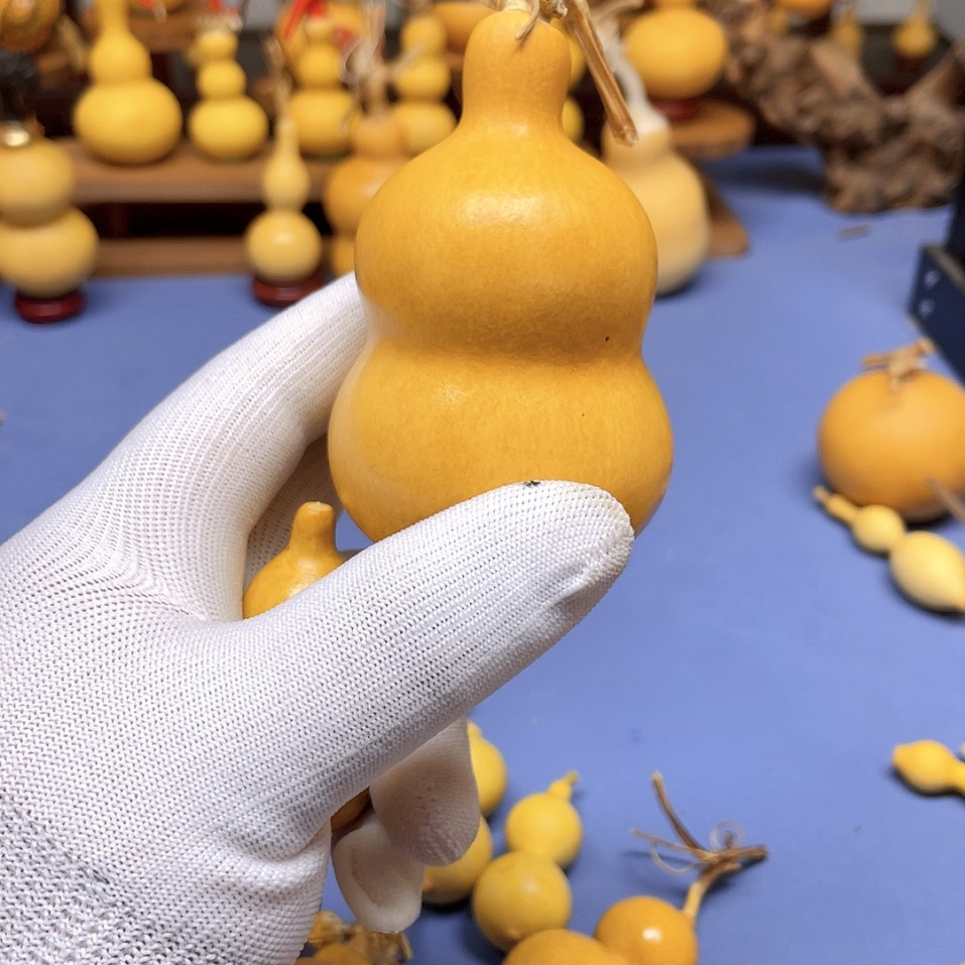 1****儿葫芦根茶包一瓶两包装送手冲