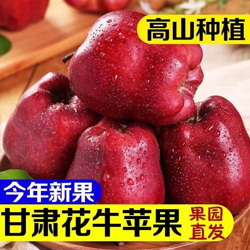 【正宗】甘肃头茬花牛苹果当季新鲜水果脆粉两吃红蛇果老人宝宝辅食