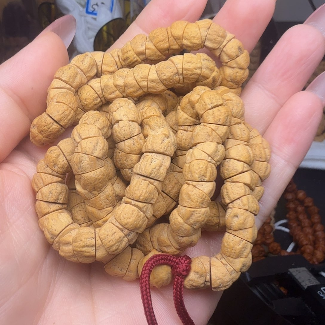 *****柏香籽/百香籽吊坠大肠