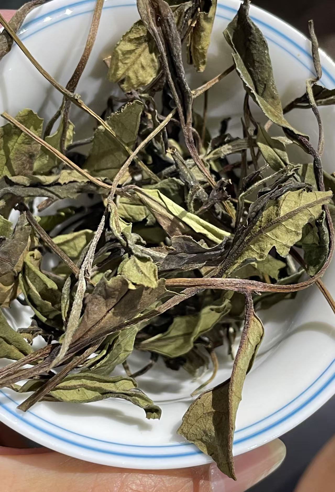 80年古树荒野贡眉2021年（初级农产品）