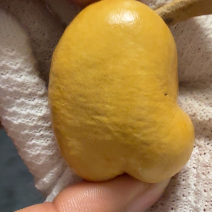 半***闲微瑕6666666666666