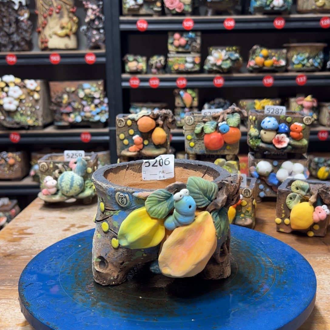 5206   内口11外高10