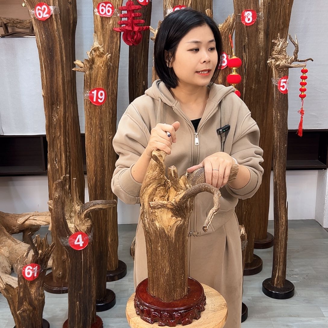 沉香摆件海南沉香摆件