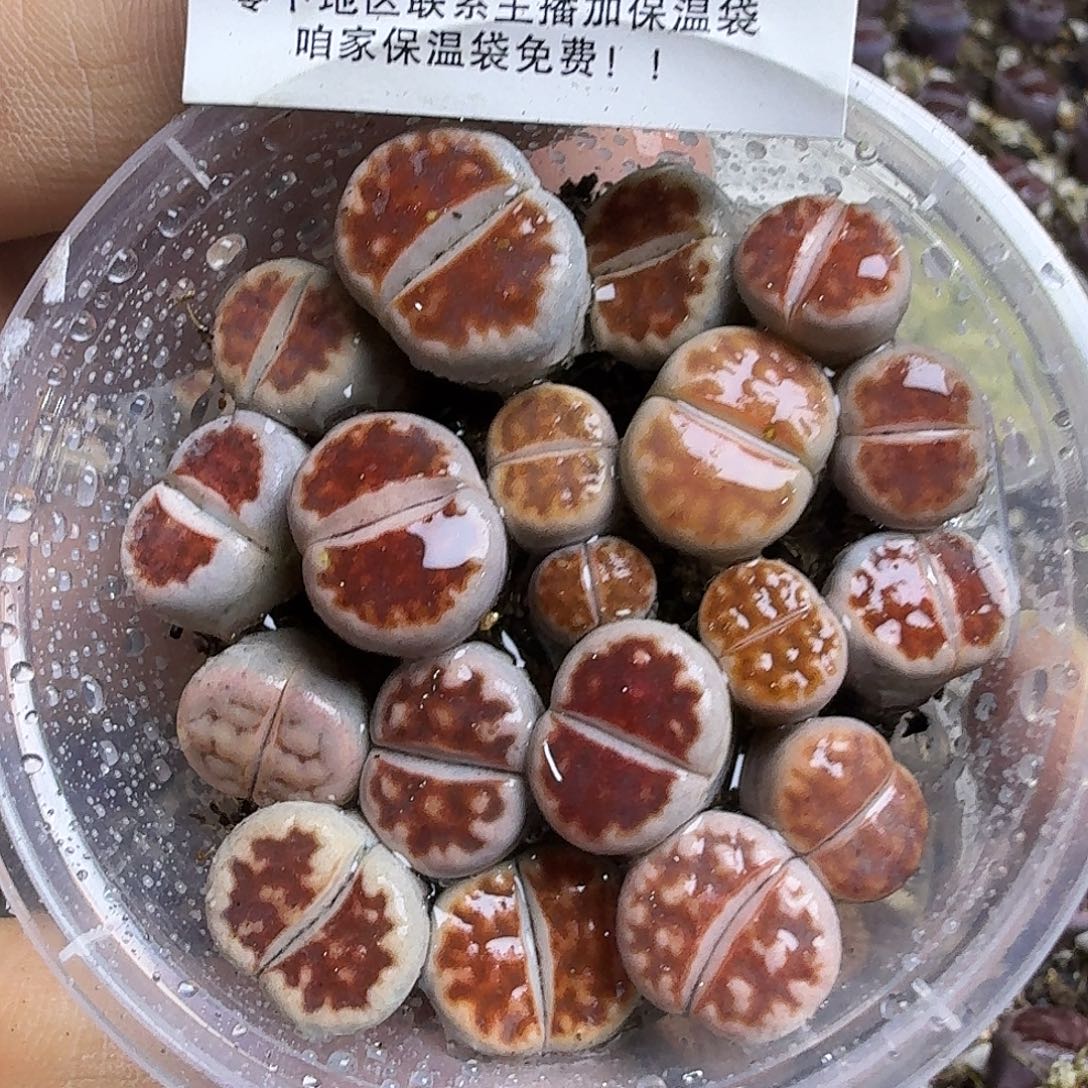 1353 哈哈哈哈哈哈哈哈哈哈
