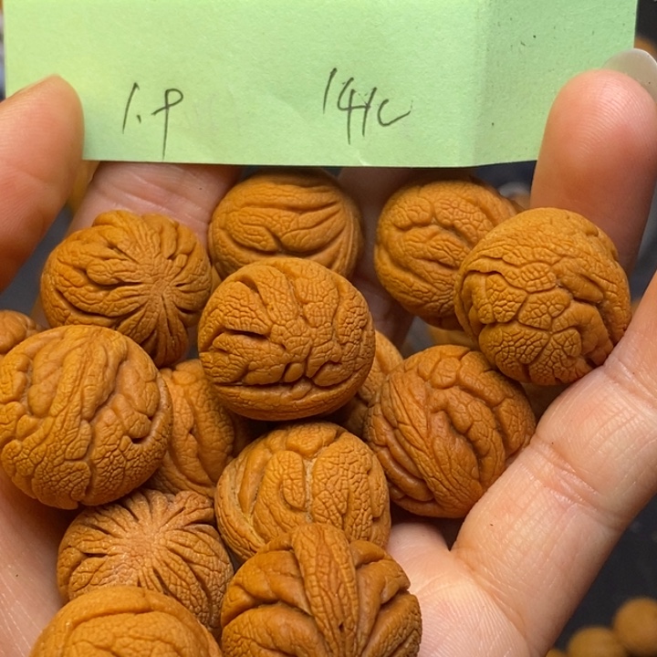 吊坠桃核秦岭龙纹桃核19