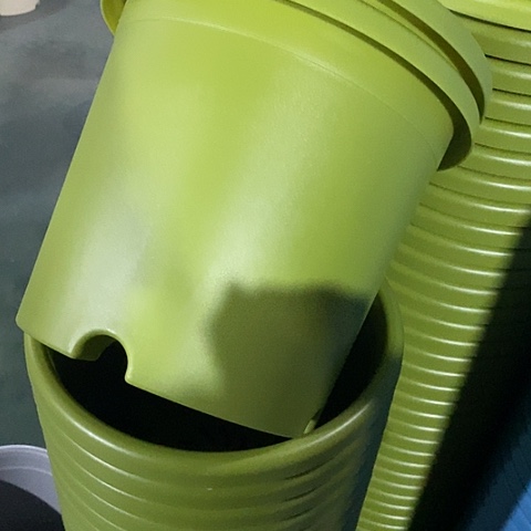 树脂四季4号果绿无托8个微瑕