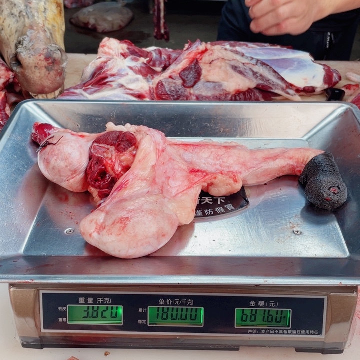 【闪购商品】冷冻保存30天包装河北省正****✍