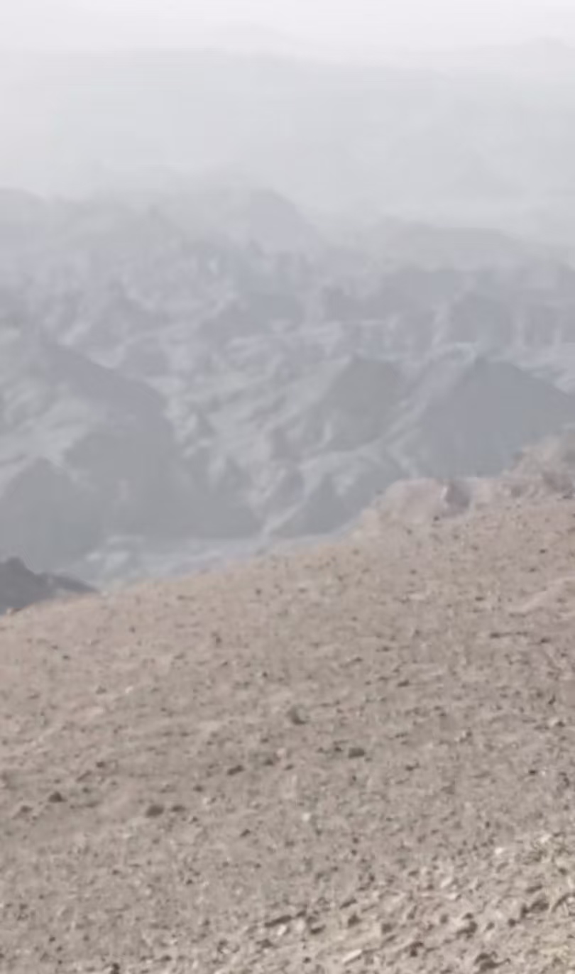 新疆戈壁石（泥石）摆件