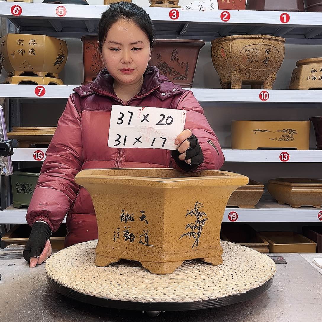 紫砂花盆紫砂花盆