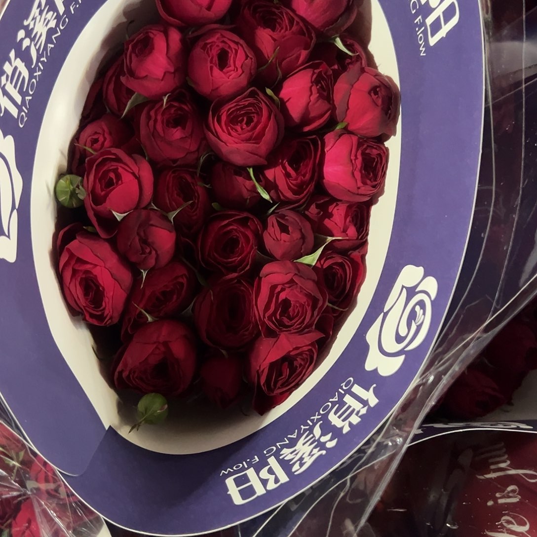 红蕾丝红蕾丝红蕾丝