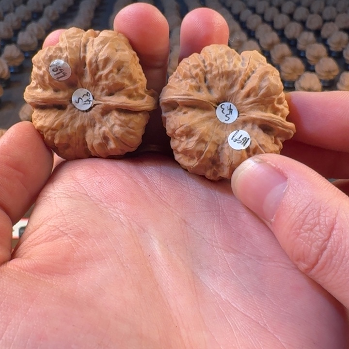 伊***娃吊坠文玩核桃蛤蟆的眼睛是真的