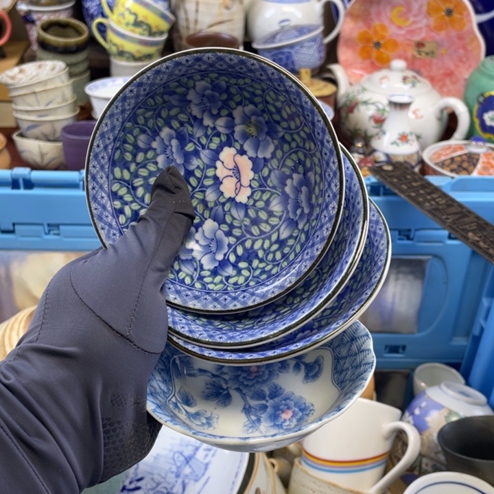 碟开播了开播了开播了