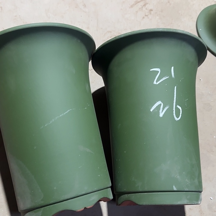 江苏宜兴紫砂花盆