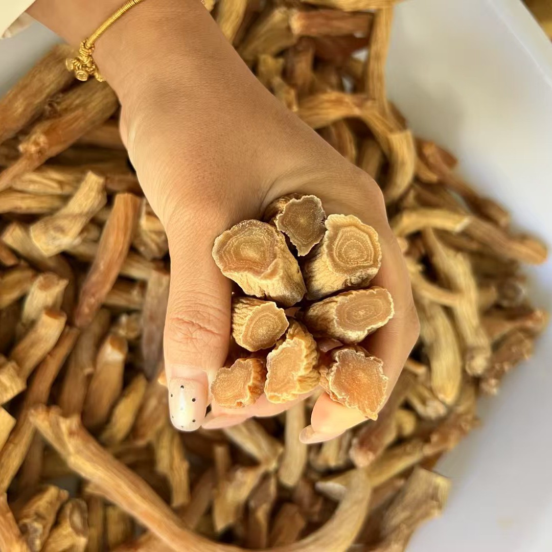 人参原产地 长白山 高丽籽腿丁