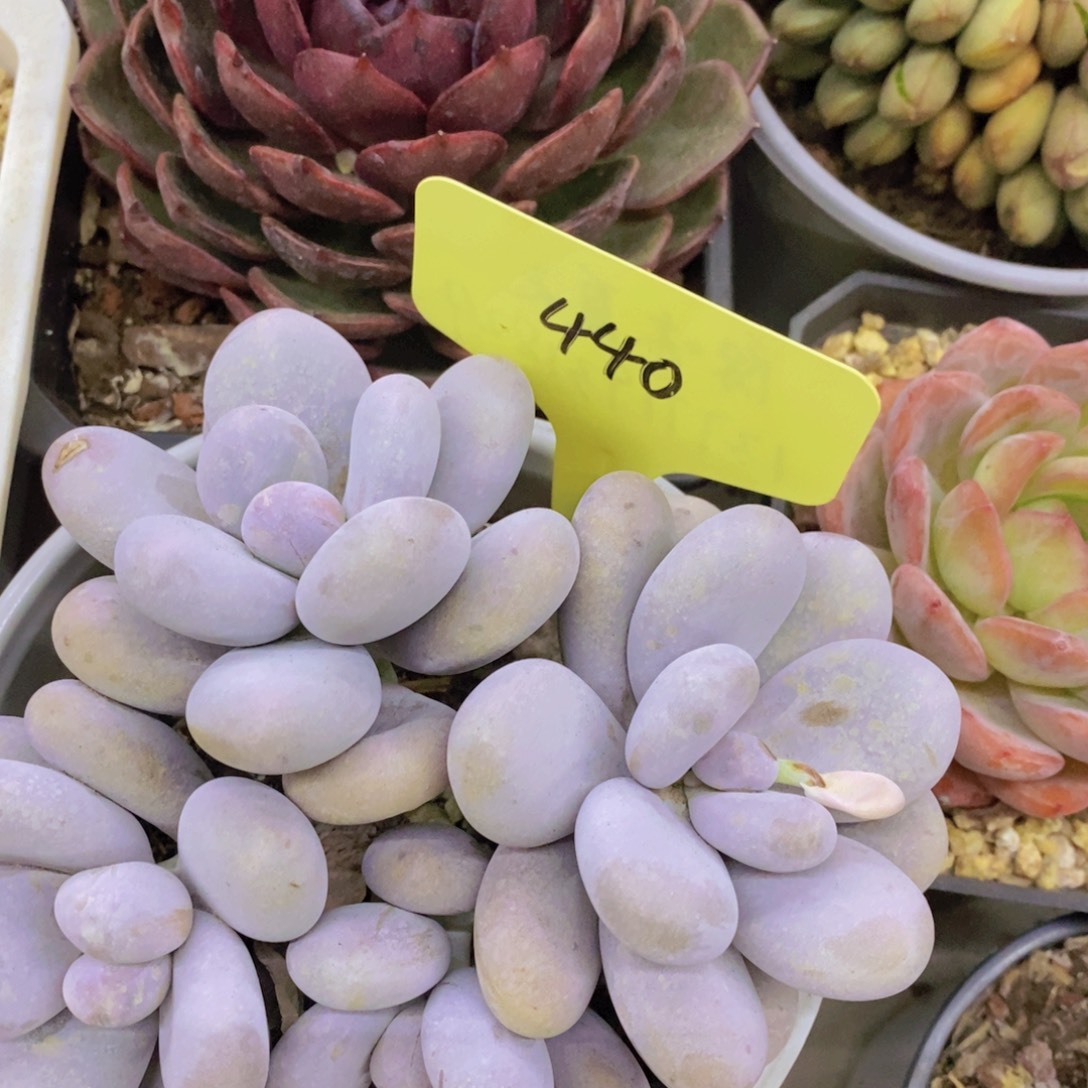 清货专场，满5宋1了