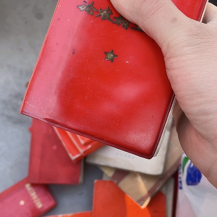 核桃木/黑胡桃（胡桃木）堪**舆