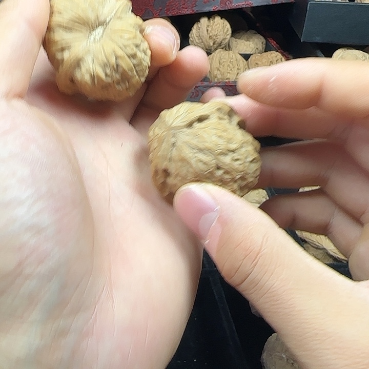 冷***吊坠龙脊菩提啊啊啊啊啊啊啊南瓜5