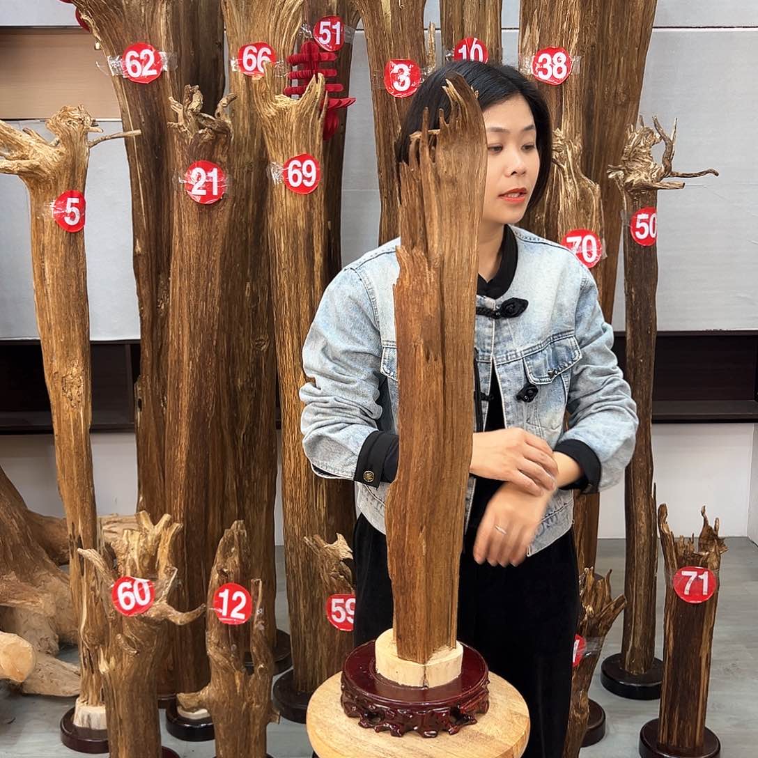 沉香摆件海南沉香摆件