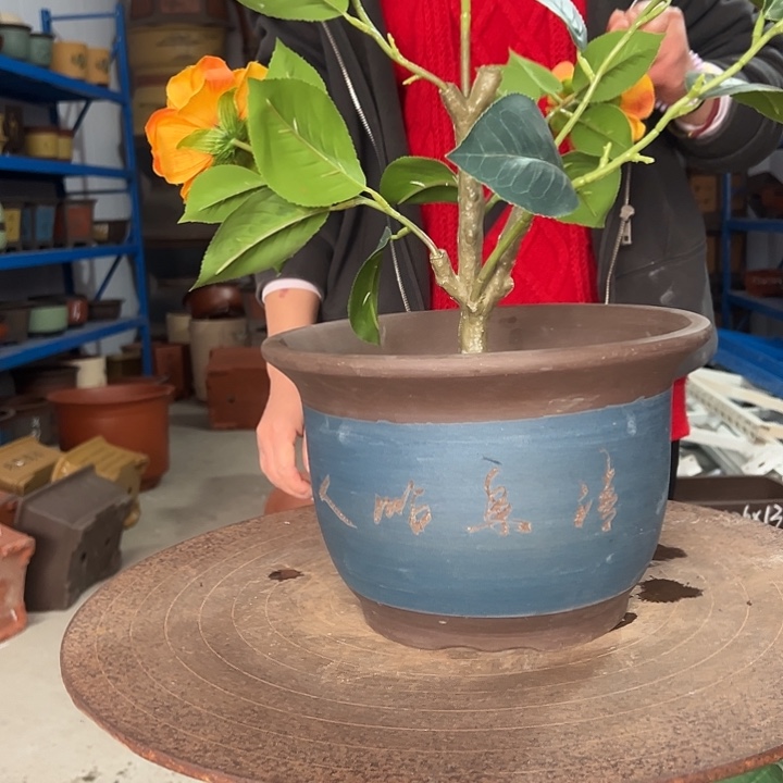 26蓝种树花盆里面的