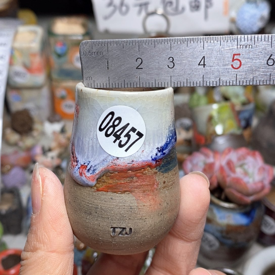 花盆，拍5送一个小礼物