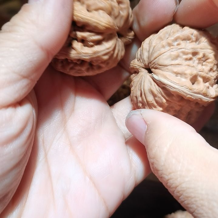 猴头核桃吊坠40元宝