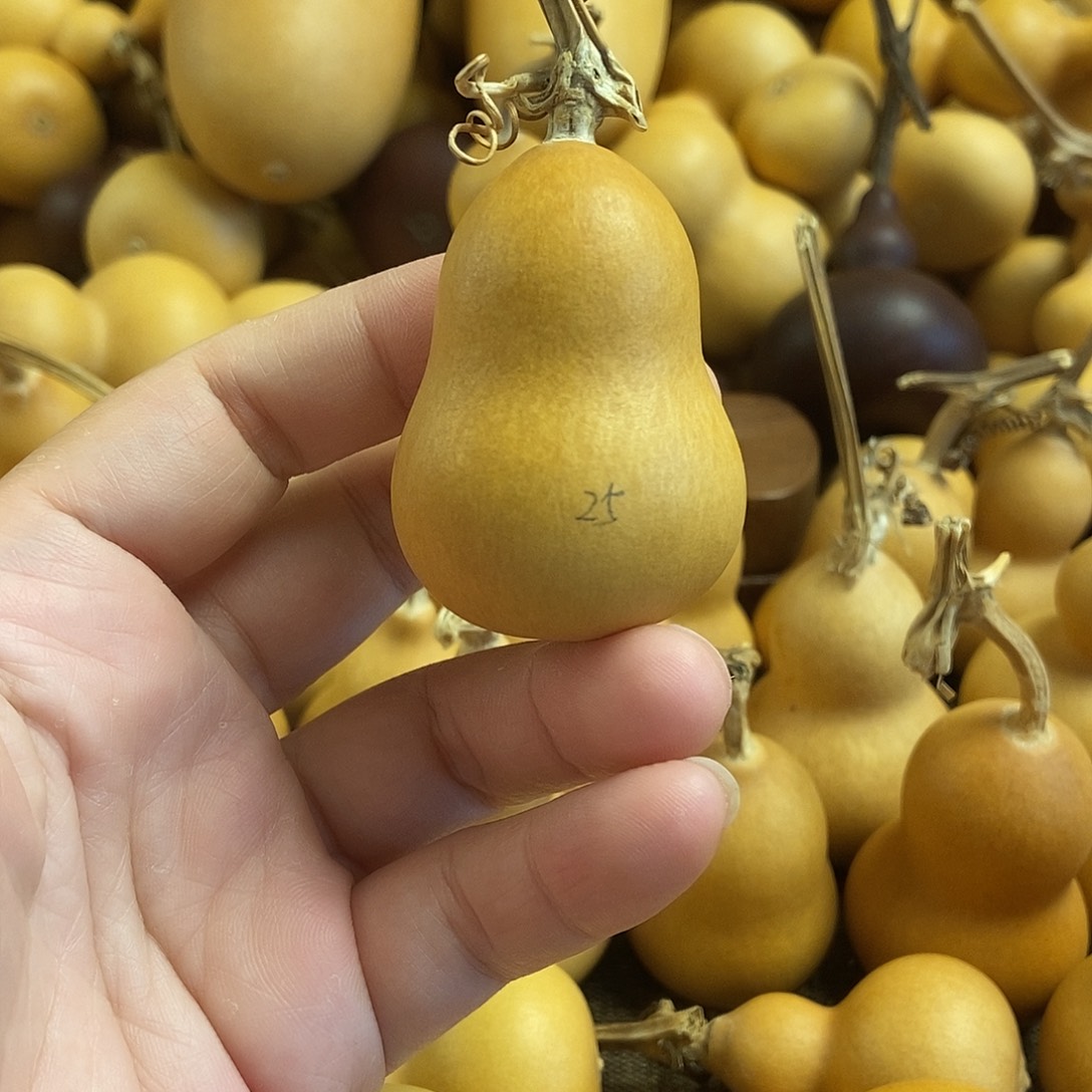 文玩葫芦 完美主义者 慎拍25