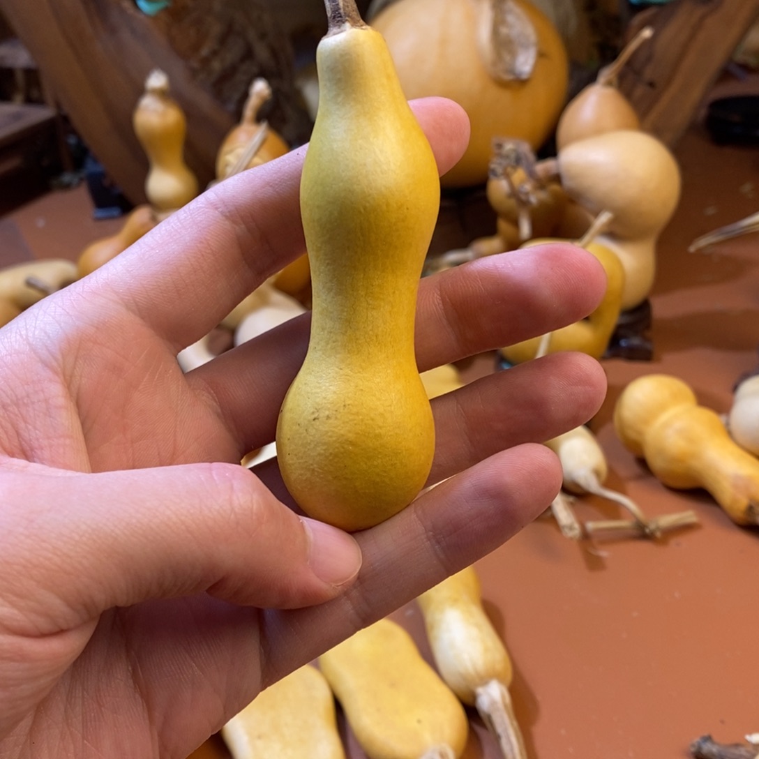 五***仴教练教练咯教练经理