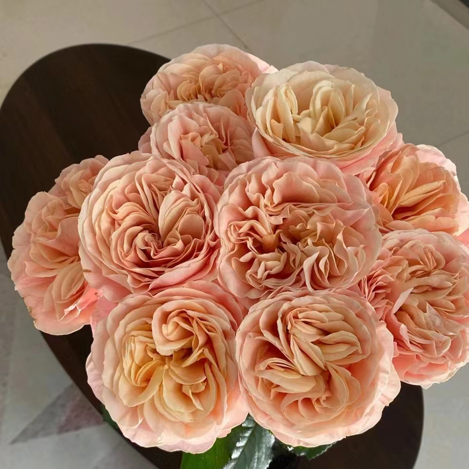 顺顺 夏日恋情玫瑰16支+4支防损  拍2单包邮 已发货不支持退款