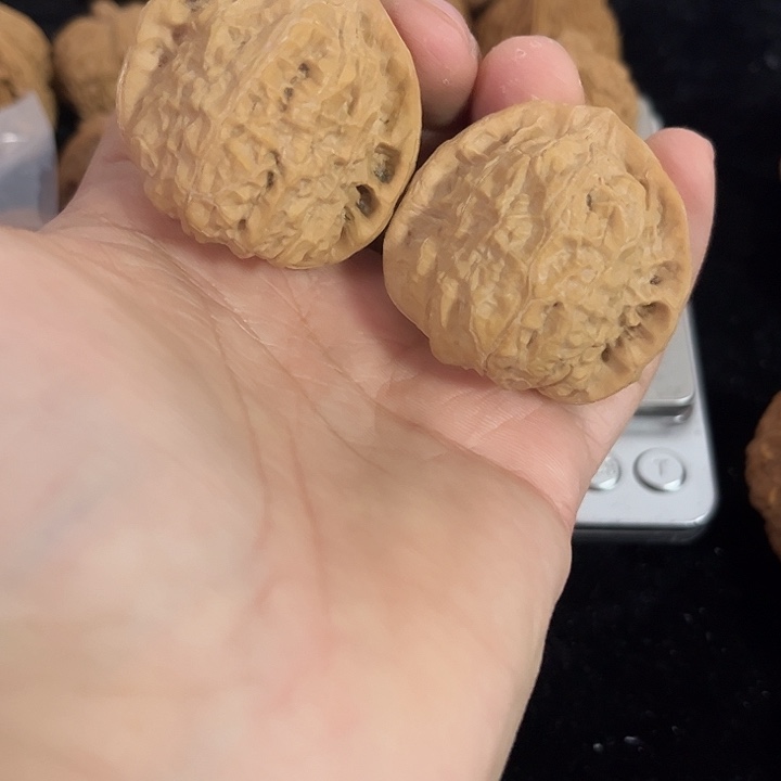 文玩核桃把件41左右练手南瓜墩，编号009