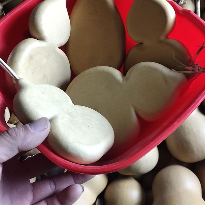 o***与天然葫芦5个瑕疵扁葫芦