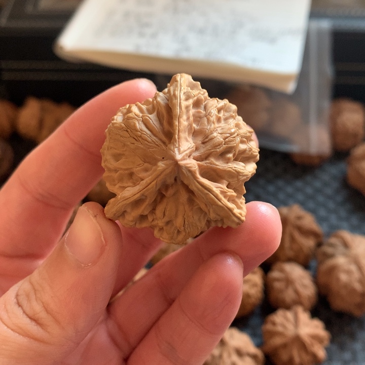 葡***萄文玩核桃把件盘山