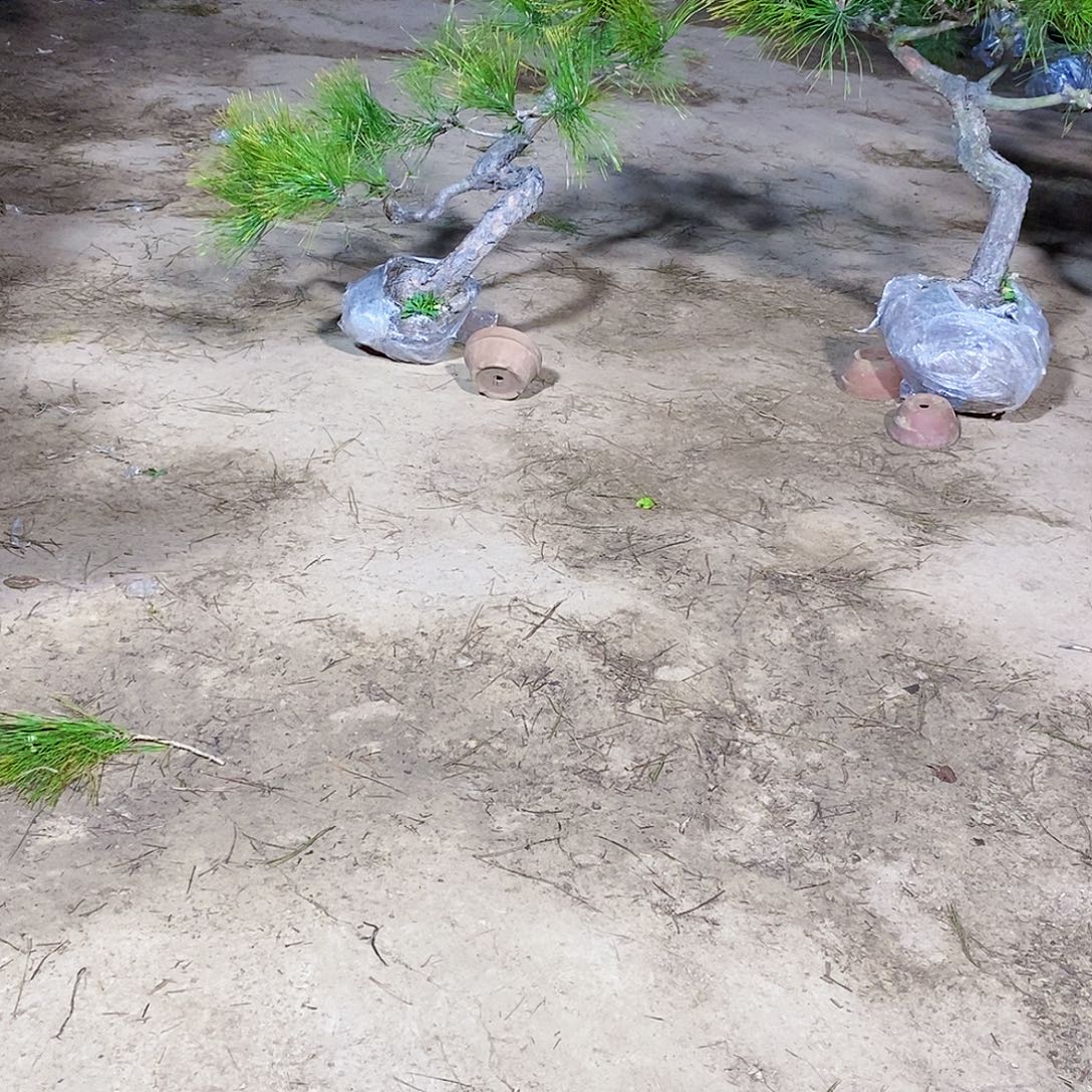 道***道完全开放111111111111111