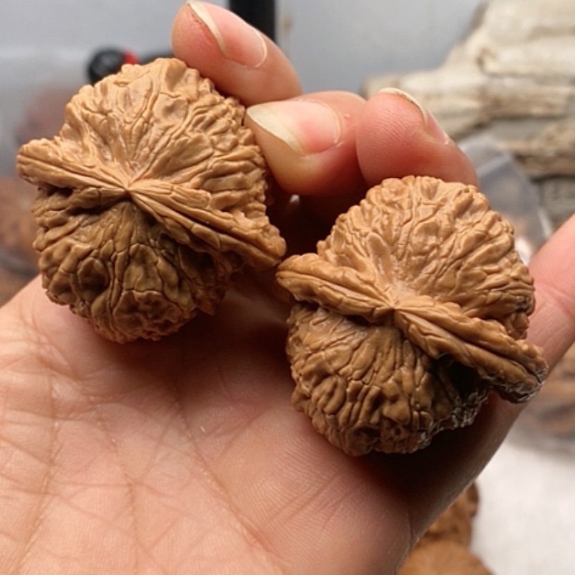 【闪购商品】吊坠文玩核桃有修白狮子