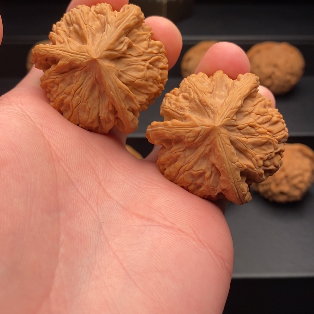 文玩核桃把件43御龙