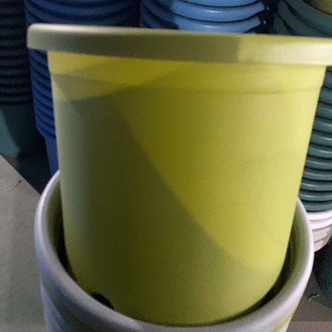 树脂四季5号果绿无托10个微瑕