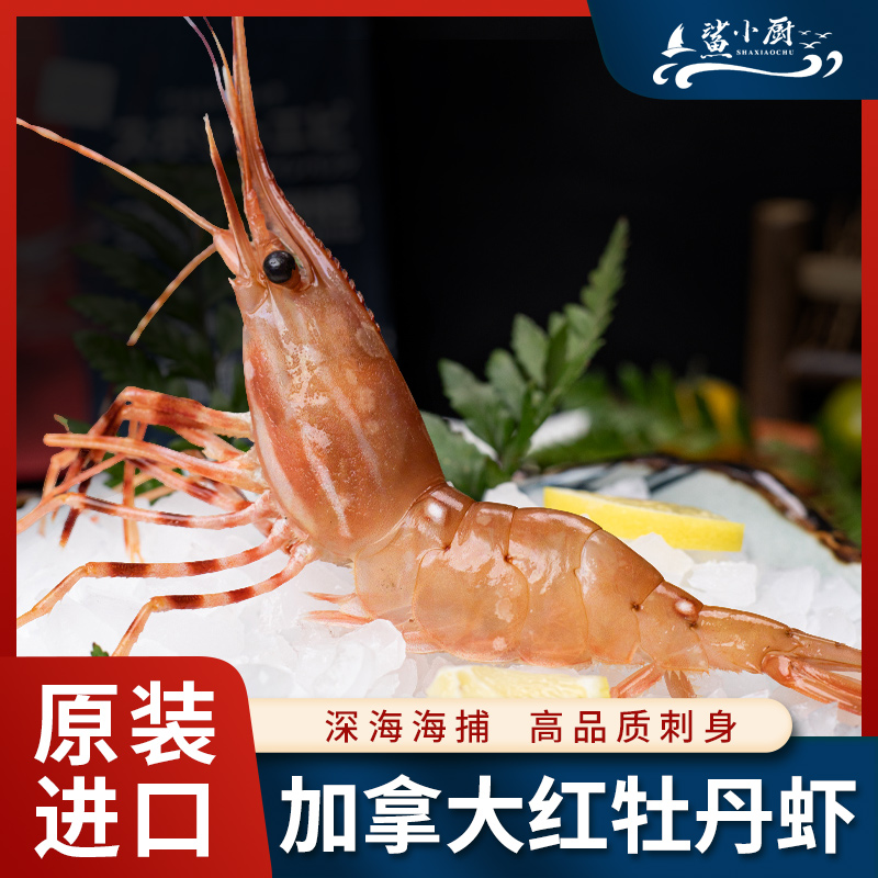 加拿大红牡丹虾刺身即食甜虾生吃北极虾冷冻日料海鲜