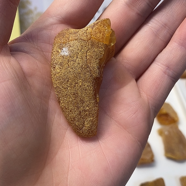 青***月定制琥珀定制专拍