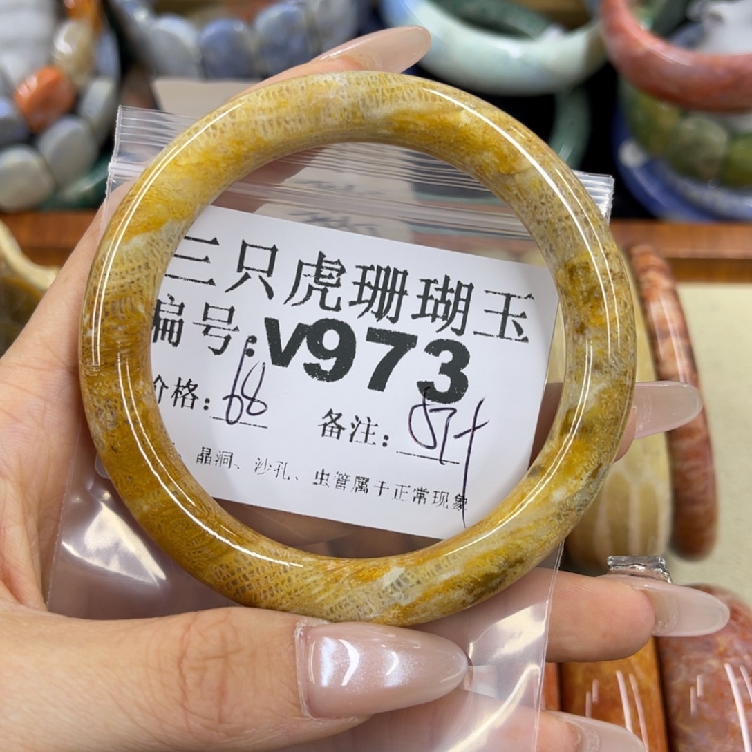 l***宝硅化珊瑚（珊瑚玉）未镶嵌h