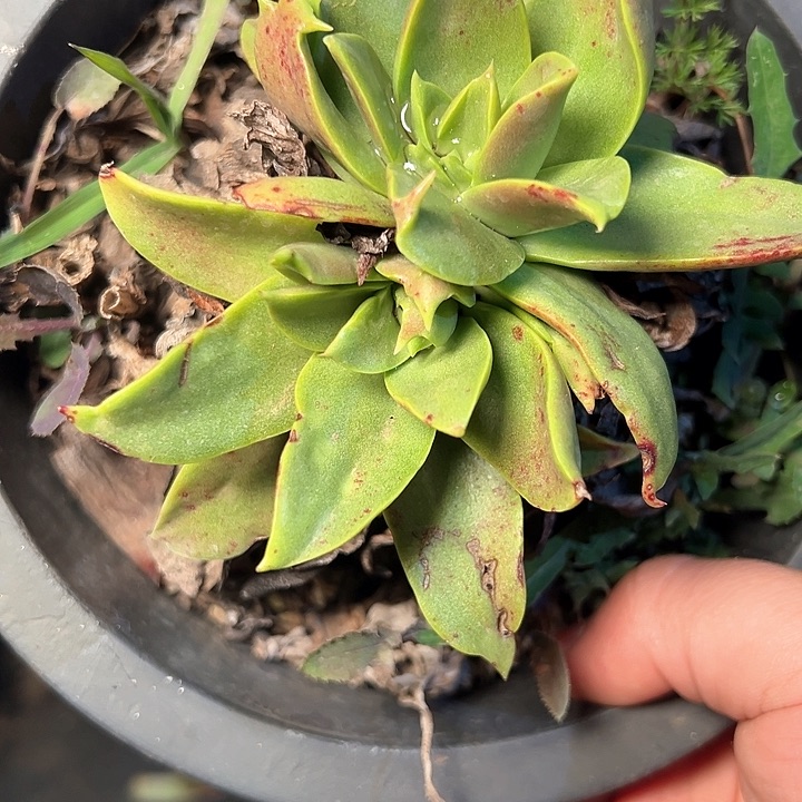 782哈哈哈哈哈哈哈