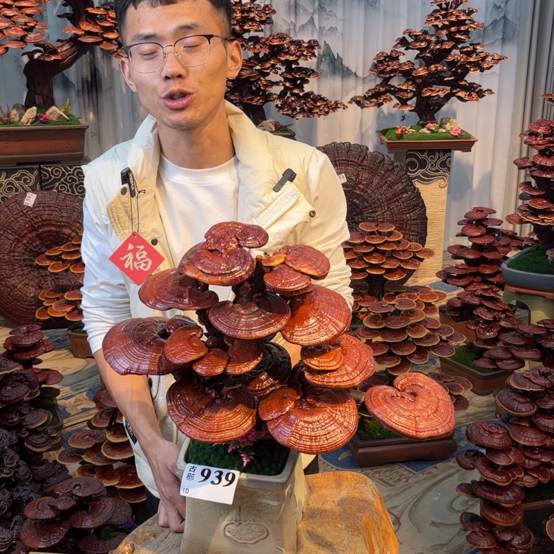 无花朵888888888888