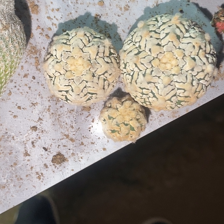 蕃***茄哈哈哈哈哈哈哈哈哈