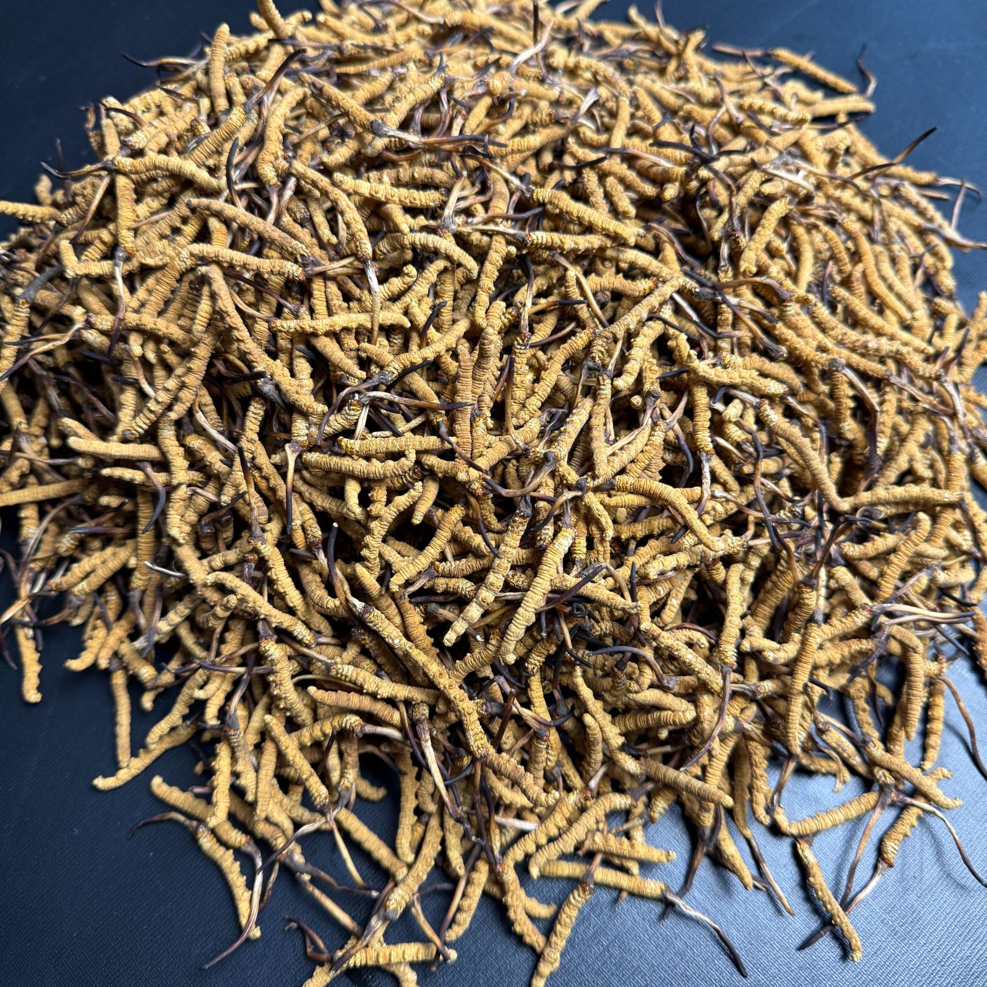  精选头期5.6根/克自用小草（性价比款）