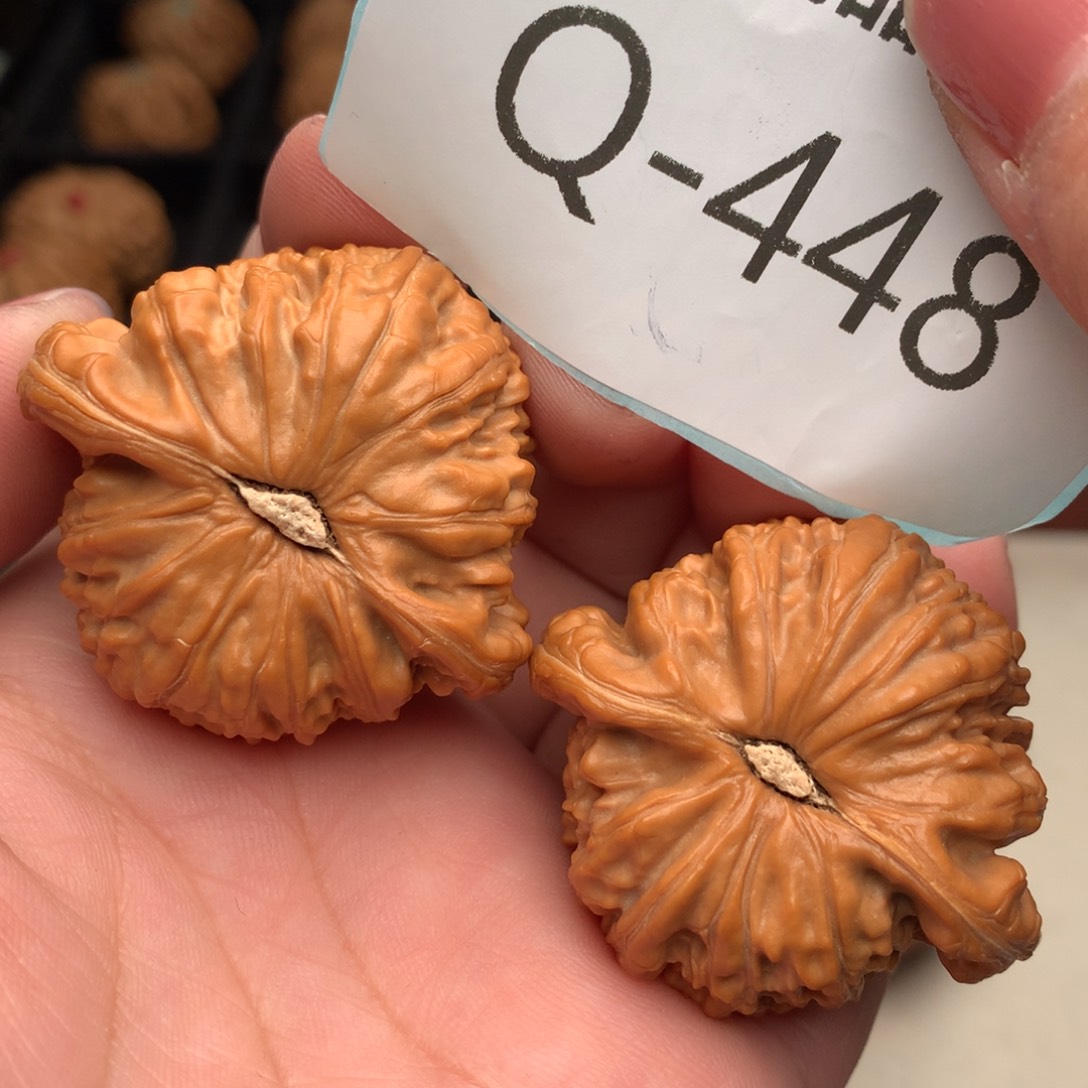 文玩核桃把件42球白……..